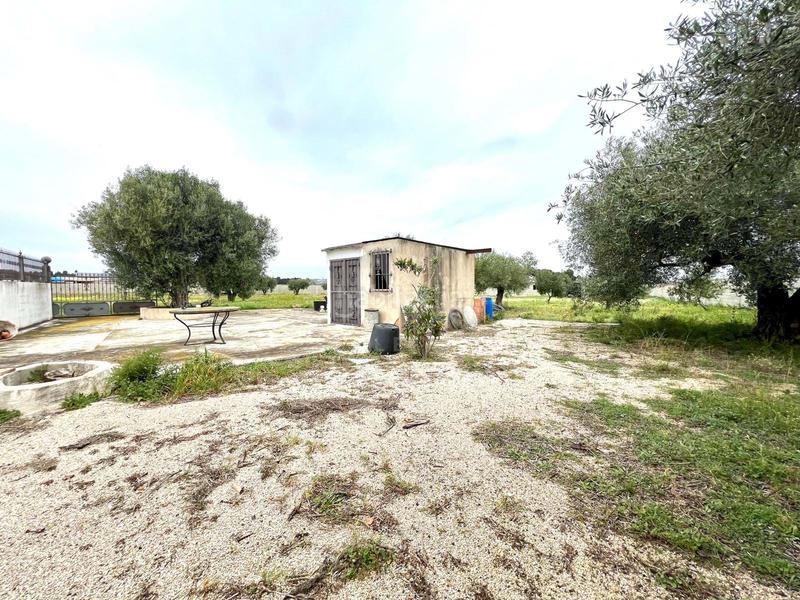 Foto 79f9643b-8416-40ea-bb58-d8ab9c46a753. Residential plot in alameda poligono 37 parc 37 37 37 in Vinaròs