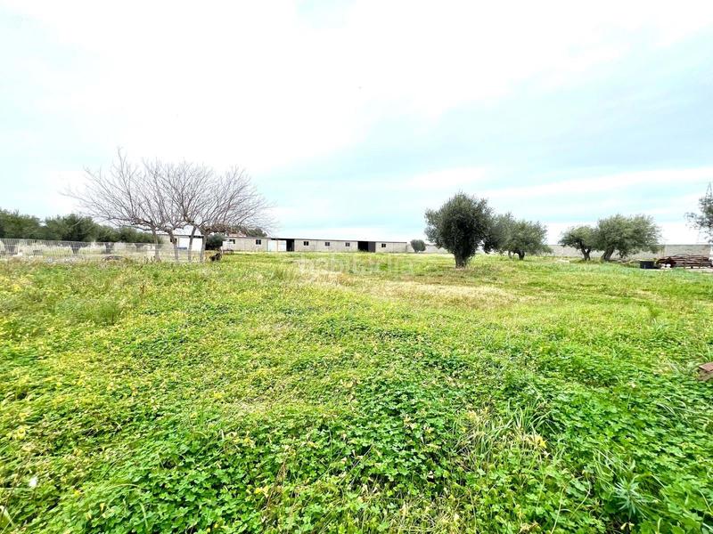 Foto 1992d546-78b6-4ad4-b3e4-46dc369da91f. Terreno residenziale in alameda poligono 37 parc 37 37 37 in Vinaròs