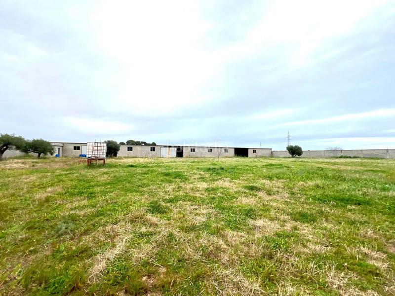 Foto ad0b176f-0b96-4819-bd76-ecc1c8f578be. Terreno residenziale in alameda poligono 37 parc 37 37 37 in Vinaròs