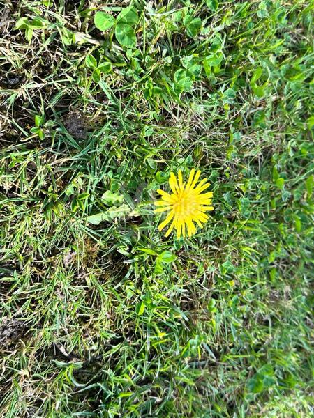 Foto 99a7036e-a043-4629-91ce-683df1ccff6a. Pis a Costa Esuri Ayamonte