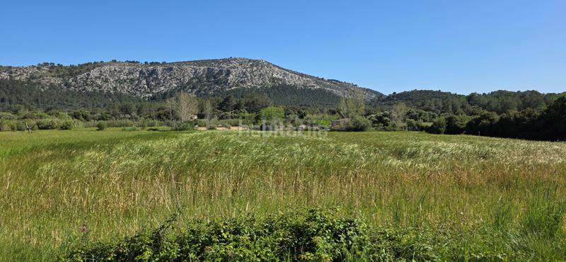 Foto 58a9cea8-f283-4752-b032-69e339a19ffa. Terreno residencial en Pollença poble Pollença