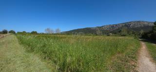 Terreno residenziale in Pollença Poble