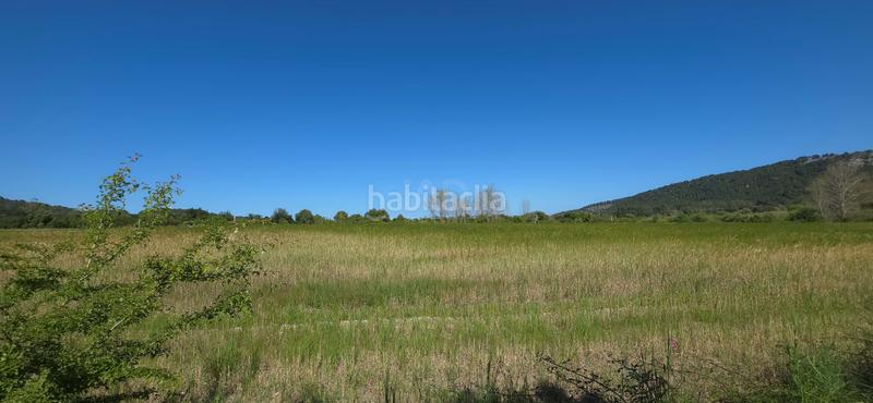 Foto 35d43905-9b19-455a-8938-9f1ccd8a92fe. Terreno residenziale in Pollença poble Pollença