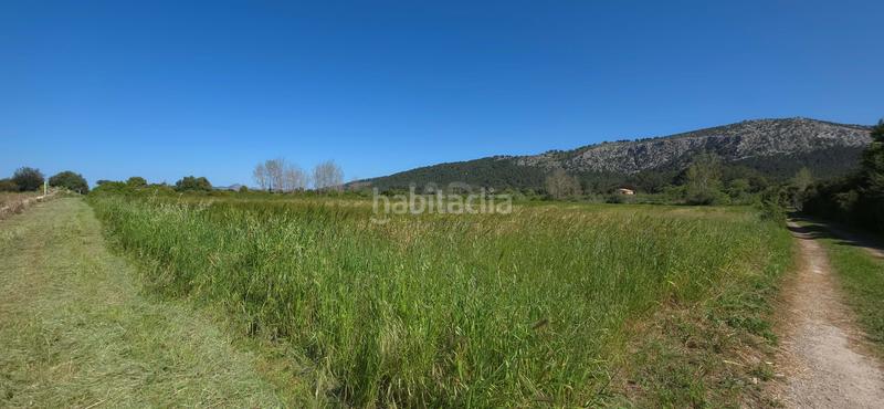 Foto cd06c466-f940-4dfd-90b7-2d7abf53804c. Terreno residenziale in Pollença poble Pollença