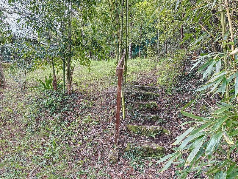 Foto 95ab46d8-d032-489b-995d-65f504fa3b9e. Casa in Campo Lameiro