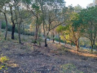 Residential Plot in Vacarisses