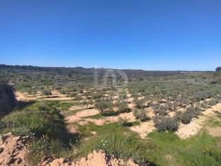 Terreny residencial a Corbera d´Ebre