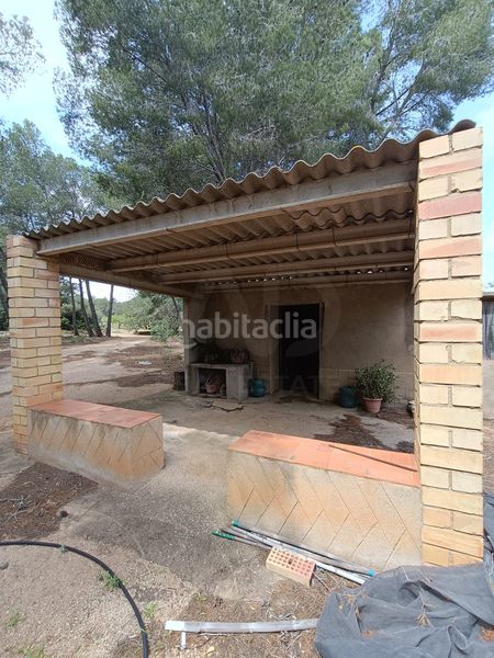 Foto 003194bc-9968-42c0-a19a-5b1b20480c0b. Terreny residencial a Perelló (El)