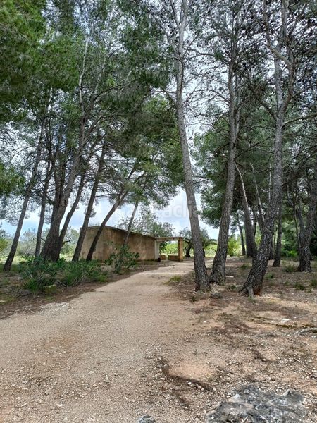 Foto 3a1ca829-c0c7-4db4-b302-46501e74214c. Terreny residencial a Perelló (El)