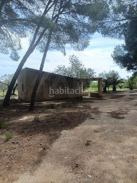 Foto 516ee999-983d-419a-a282-d2e14ec92e5a. Terreny residencial a Perelló (El)