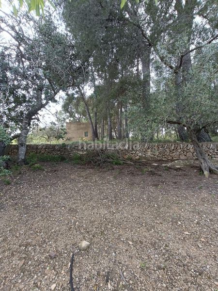 Foto 659884d1-fd99-4577-a543-bfcef39811ac. Terreny residencial a Perelló (El)