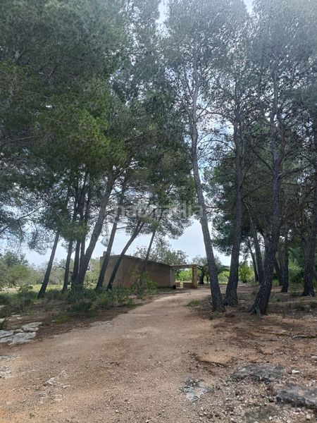 Foto d7b6d31b-7aea-4472-b579-a5f05f993adf. Terreny residencial a Perelló (El)