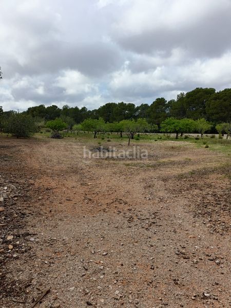 Foto e01eb021-db00-4b97-960e-b969adec424e. Terreny residencial a Perelló (El)