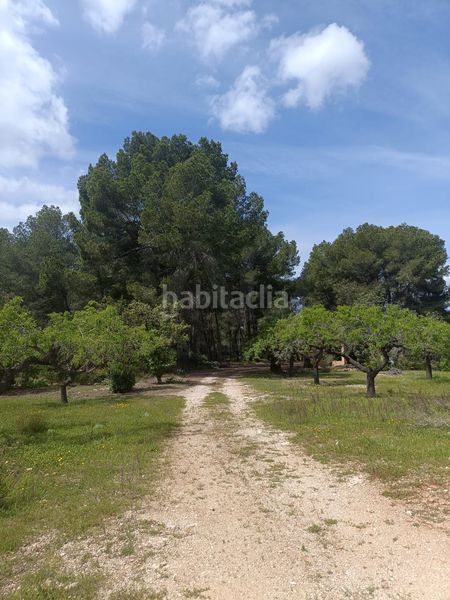 Foto ec9f4746-dfe4-4ed0-a01e-935436e01702. Terreny residencial a Perelló (El)