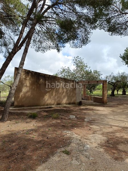 Foto f04971bf-6033-40ff-89cd-a2dc59c1d9fa. Terreny residencial a Perelló (El)