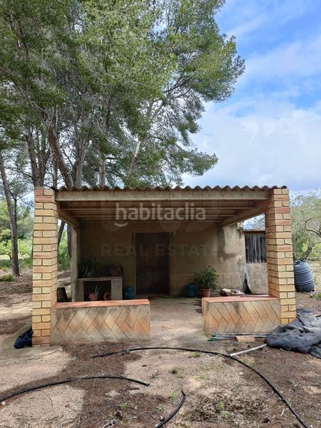 Foto f38f9c2c-8b40-46f8-9f4d-b3a1c6b537ae. Terreny residencial a Perelló (El)