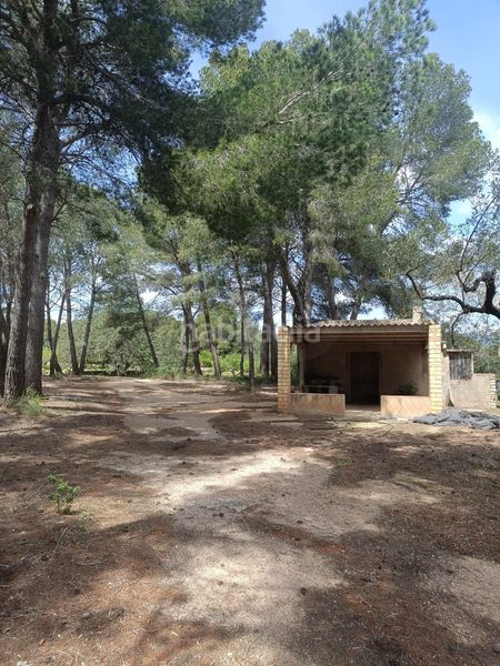 Foto f3c10c4b-4e0b-42ad-891e-54a479da5ec8. Terreny residencial a Perelló (El)