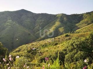Terreno residencial en Olías