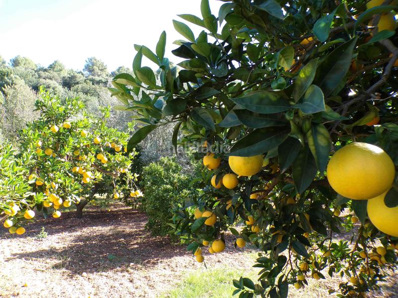 Foto 021759be-7c61-418b-81c6-a217e7943185. Casa amb aparcament piscina a Sóller