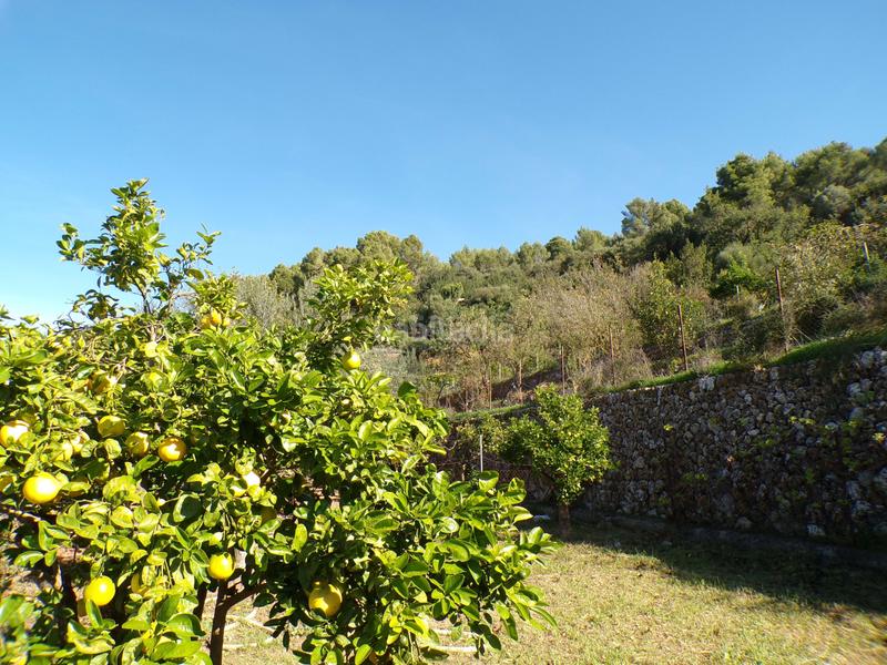 Foto 3c320d7d-0c14-44b5-b14b-202ae0901c10. Casa amb aparcament piscina a Sóller