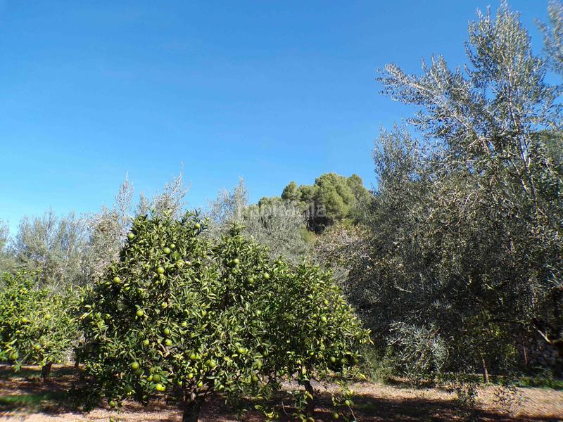 Foto 65f99edc-7317-448b-ac72-243a0c127417. Casa amb aparcament piscina a Sóller