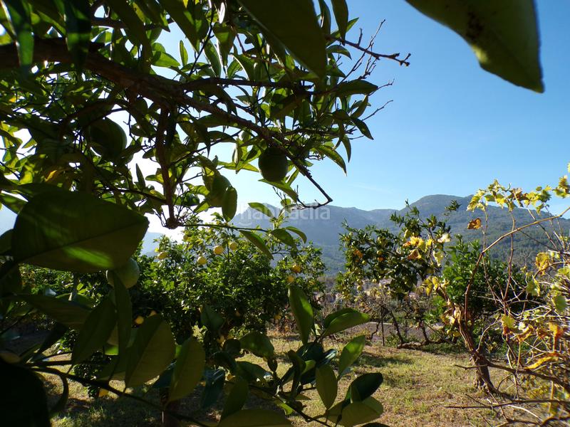 Foto 7cc131fb-337b-43dd-b8ff-dc586228e3eb. Casa amb aparcament piscina a Sóller