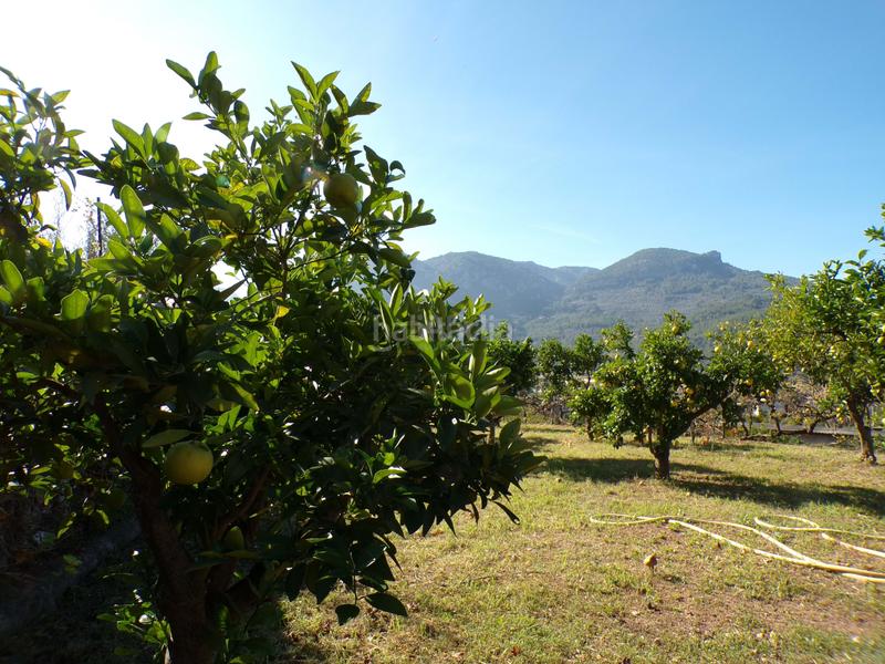 Foto 8d7c1af4-5817-4f5e-bfa8-427be7f4f454. Casa amb aparcament piscina a Sóller