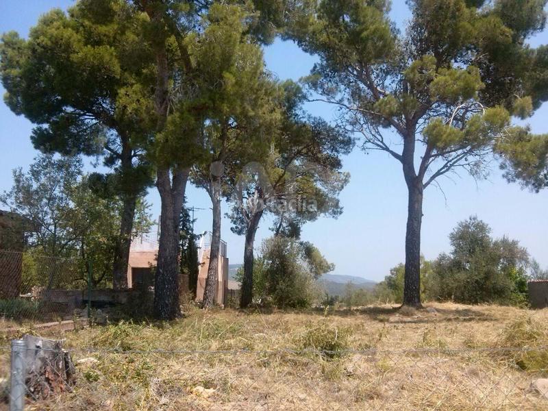 Foto 26831cc9-39f2-4858-b254-dc24120be725. Terreny residencial a Torrelles de Foix