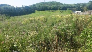 Terreno residenziale in Camino CAÑADA DE MATATOROS 0 0
