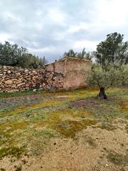 Residential Plot in Alameda pol. 11 parc. 109, 110 p11p109110 p11p109110