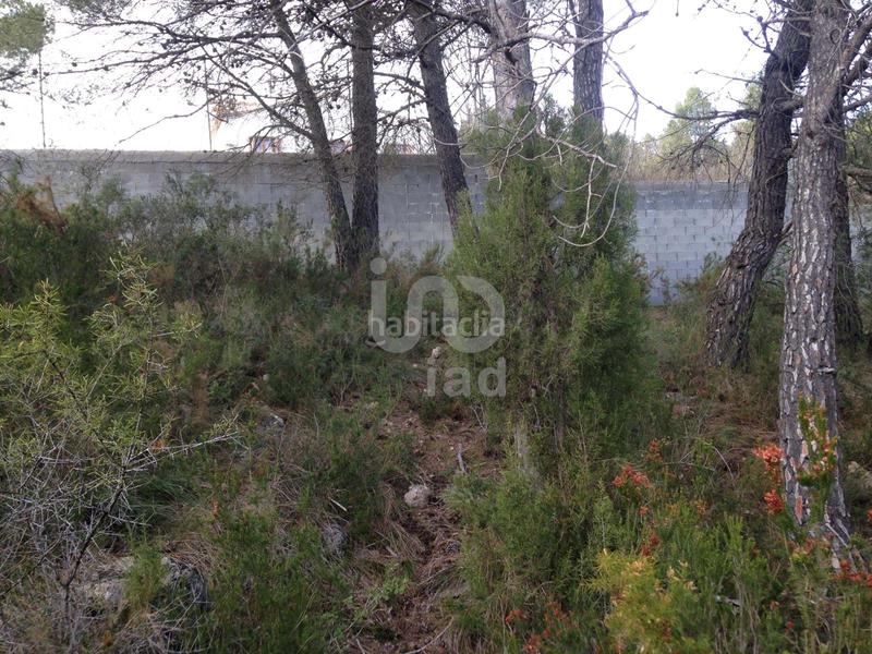 Foto 128d86db-4657-4b46-86c8-ff256d22f7bc. Terreno residencial en calle torrent 20 20 en Albinyana