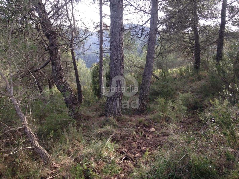Foto d143a4d9-e812-48db-acbe-1673da898b3d. Terreno residencial en calle torrent 20 20 en Albinyana