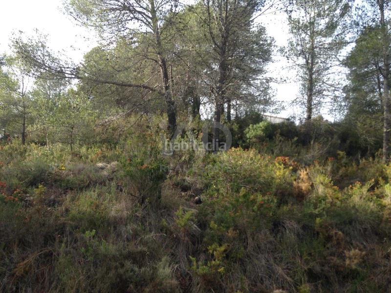 Foto 7a886c5f-2ae3-406f-b541-23c6f4e6089d. Terrain résidentiel dans calle torrent 20 20 dans Albinyana