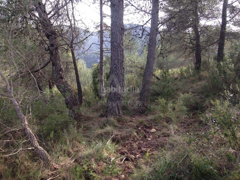 Foto dc8b1a49-f3be-479d-986f-ca1c78d046b1. Terrain résidentiel dans calle torrent 20 20 dans Albinyana