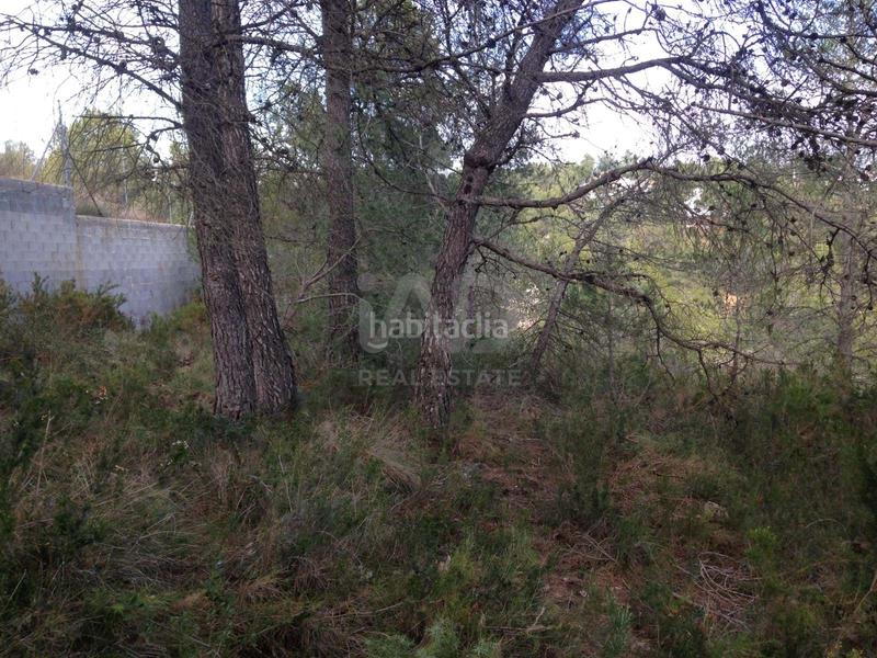 Foto ef8a3c8a-d61a-4c58-b92b-0761f8cdefe6. Terrain résidentiel dans calle torrent 20 20 dans Albinyana