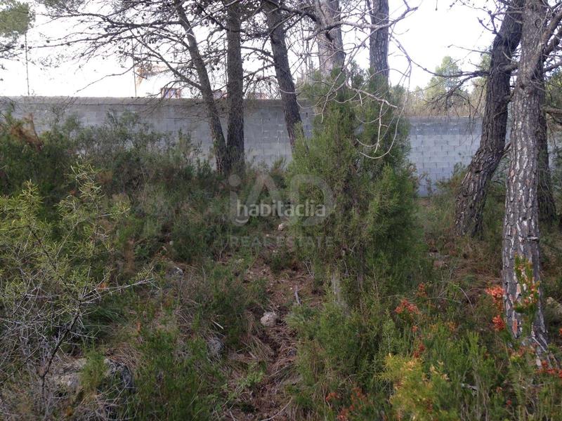 Foto b863731f-4291-45c1-9506-9bd0814da4e4. Terreno residenziale in calle torrent 20 20 in Albinyana