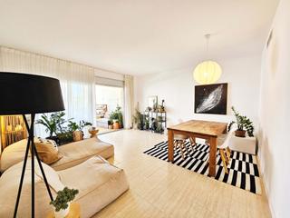 Flat in Barenys