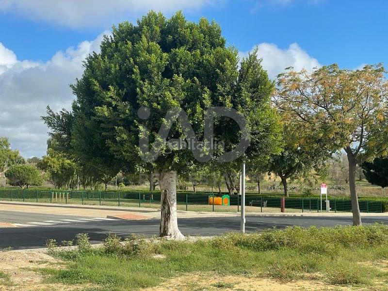 Foto 2fff3fe0-8150-4abf-a1f7-e723ae82c9cc. Terrain résidentiel dans Cartaya