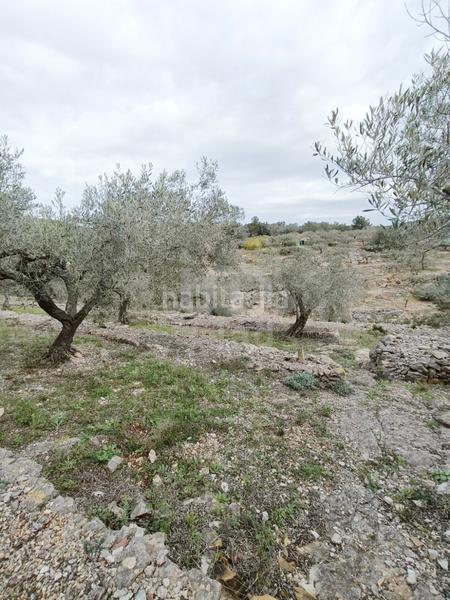 Foto 3ad45c9a-5fed-49fa-8c30-13a8b5cb373e. Terreno residencial en Perelló (El)