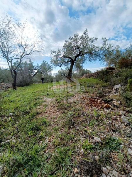 Foto 4d1b16f8-0ded-4270-b850-2df286634f4e. Terreno residencial en Perelló (El)