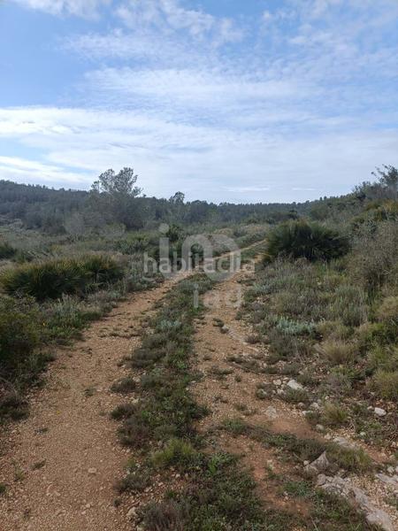 Foto f3a138cf-edfc-43fc-aa19-7ac6882e2a75. Terreno residencial en Perelló (El)