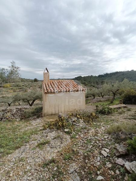 Foto f4c1e097-fd97-44f4-b08d-2b5e1e99198f. Terreno residencial en Perelló (El)