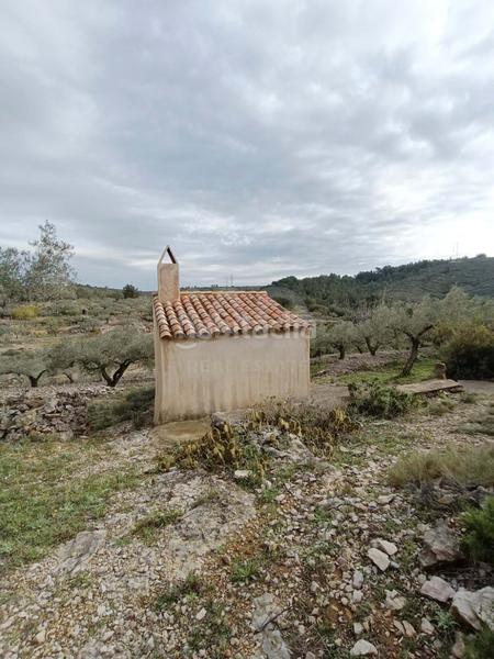 Foto 6c8d36b8-6cdc-4a8a-91bb-ce951fbf9c30. Residential plot in Perelló (El)