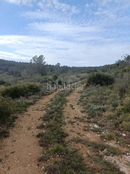 Foto 769ac312-f27a-4898-96b9-b2d1205c6be6. Residential plot in Perelló (El)