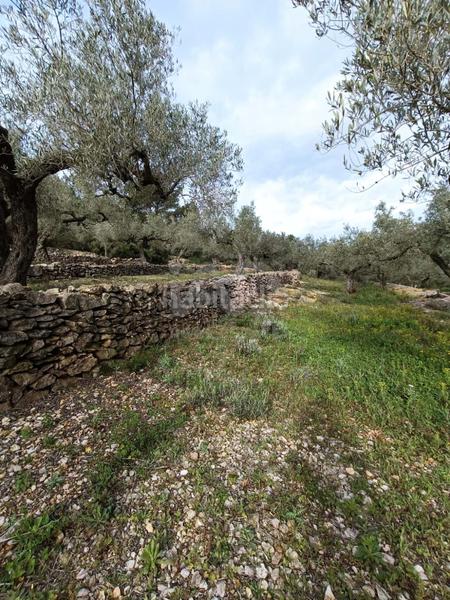 Foto b9b87bfe-2ad6-4595-94db-d962f8ca989e. Residential plot in Perelló (El)