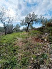 Residential Plot in Perelló (El)
