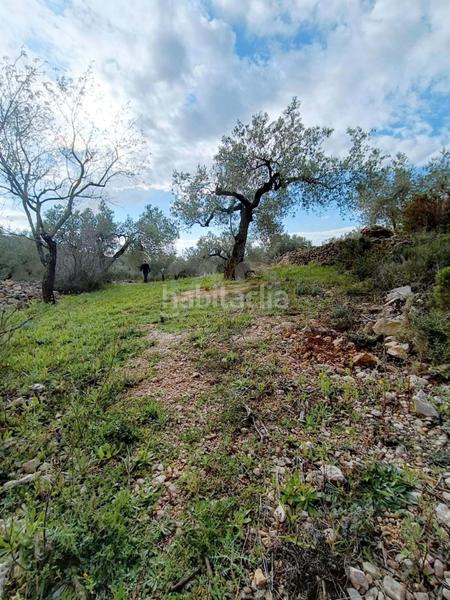 Foto eb0330de-f532-4d79-bbf3-2342ed999260. Residential plot in Perelló (El)