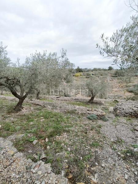 Foto 8f60d40b-d0f8-49c3-82ec-9063252bf5df. Wohngrundstück in Perelló (El)