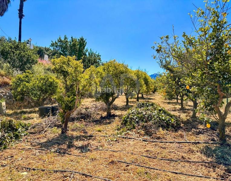 Foto 69f795f1-671b-41eb-b325-704bcd89596c. Local comercial a Tárbena