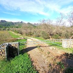 Wohngrundstück in Urbanitzacions